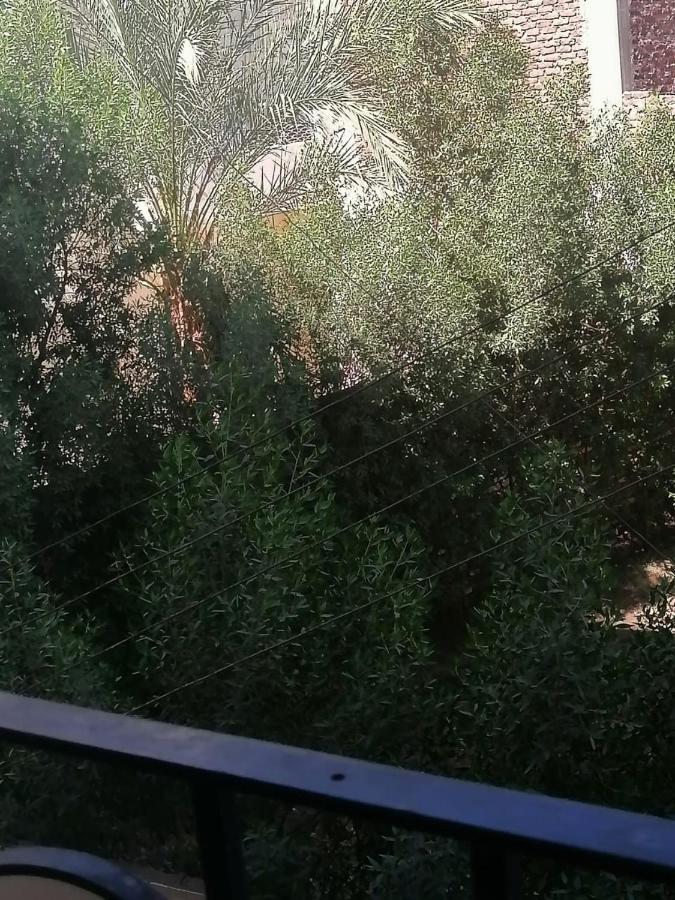 Winter Guest House Luxor Luaran gambar