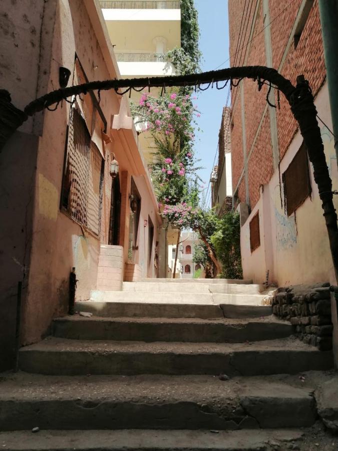 Winter Guest House Luxor Luaran gambar